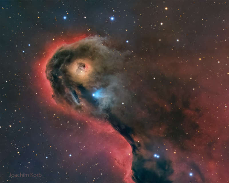 APOD: 2025 October 14 � An Unusual Globule in IC 1396