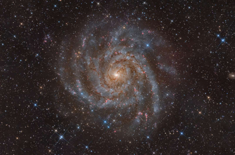 IC 342: Hidden Galaxy in Camelopardalis
