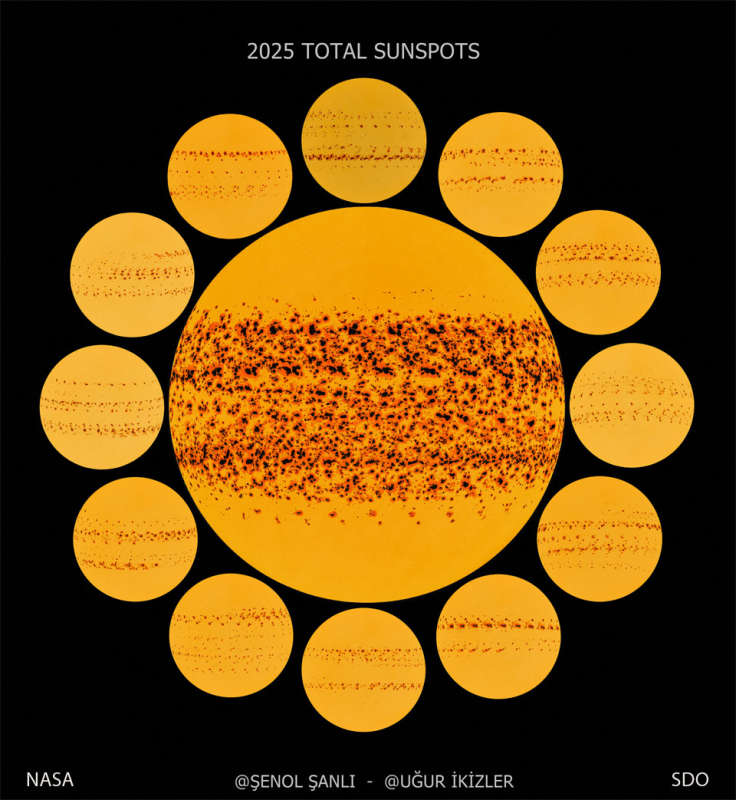APOD: 2026 February 11 � A Year of Sunspots