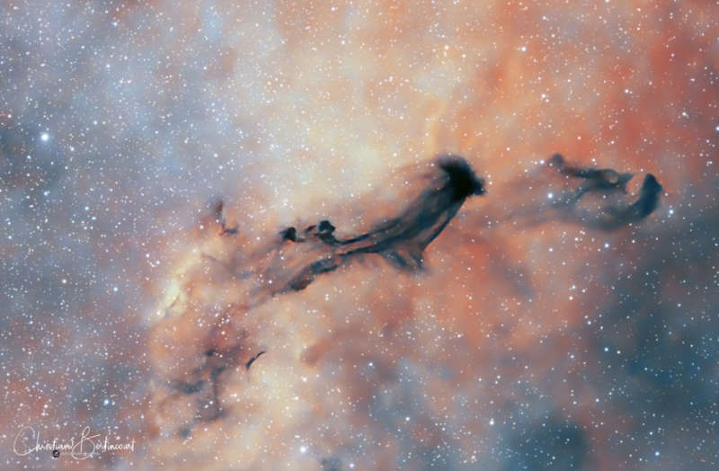 APOD: 2026 February 20 Б B93: A Dark Interstellar Ghost