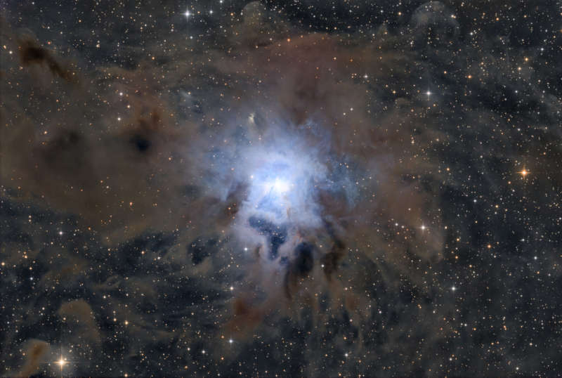 NGC 7023: туманность Ирис