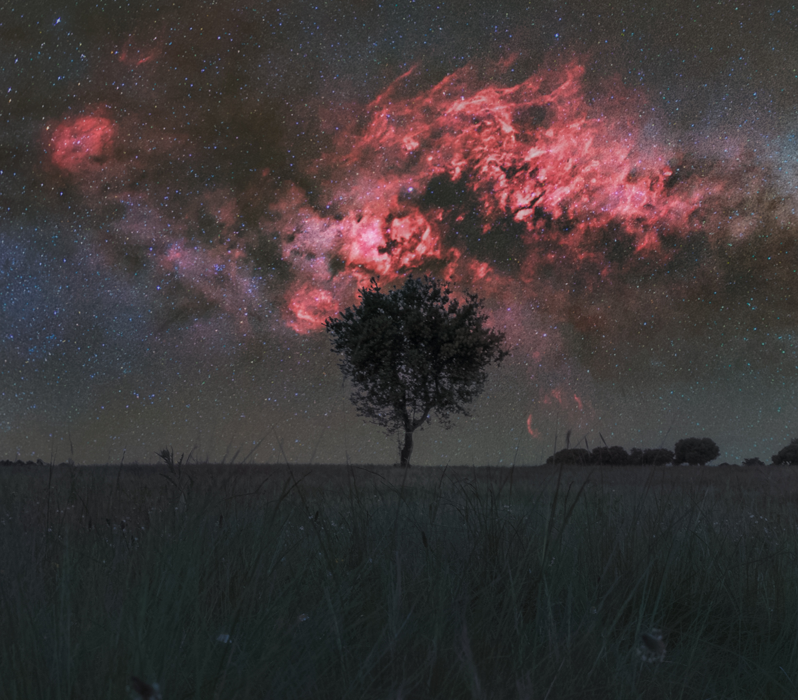 APOD: 2026 March 18 � Cygnus and the Solitary Tree