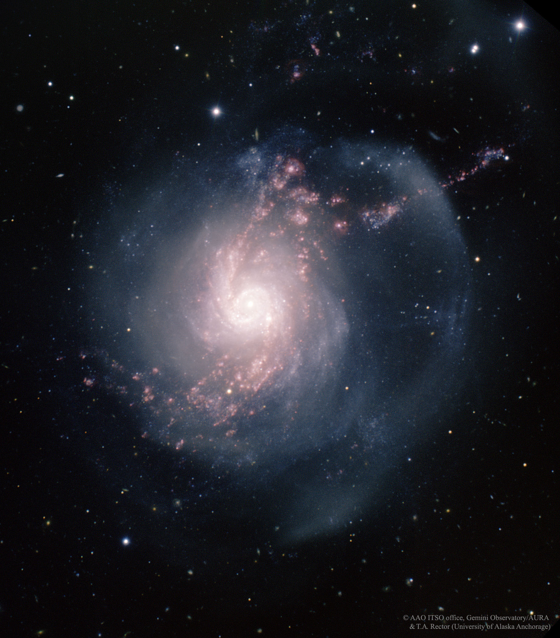 APOD: 2026 April 5 Á NGC 3310: A Starburst Spiral Galaxy
