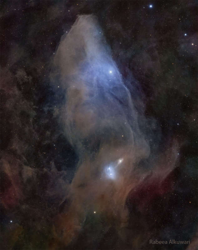 APOD: 2026 April 7 � IC 4592: The Blue Horsehead Reflection Nebula