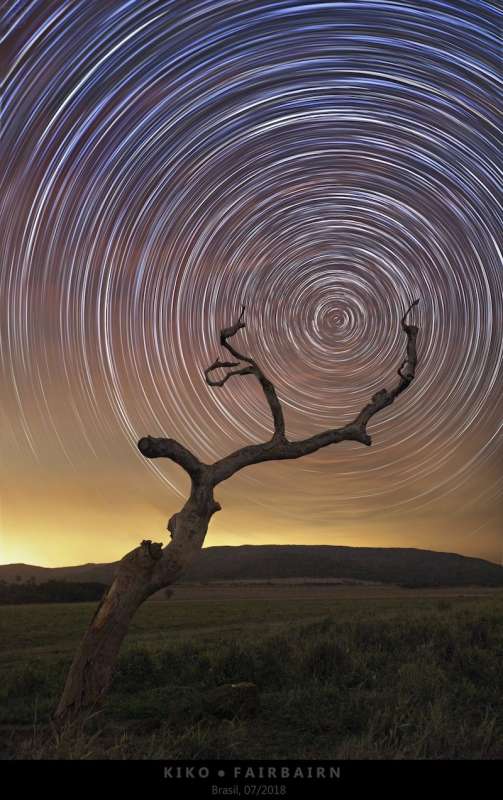 APOD: 2026 April 16 � South Celestial Tree
