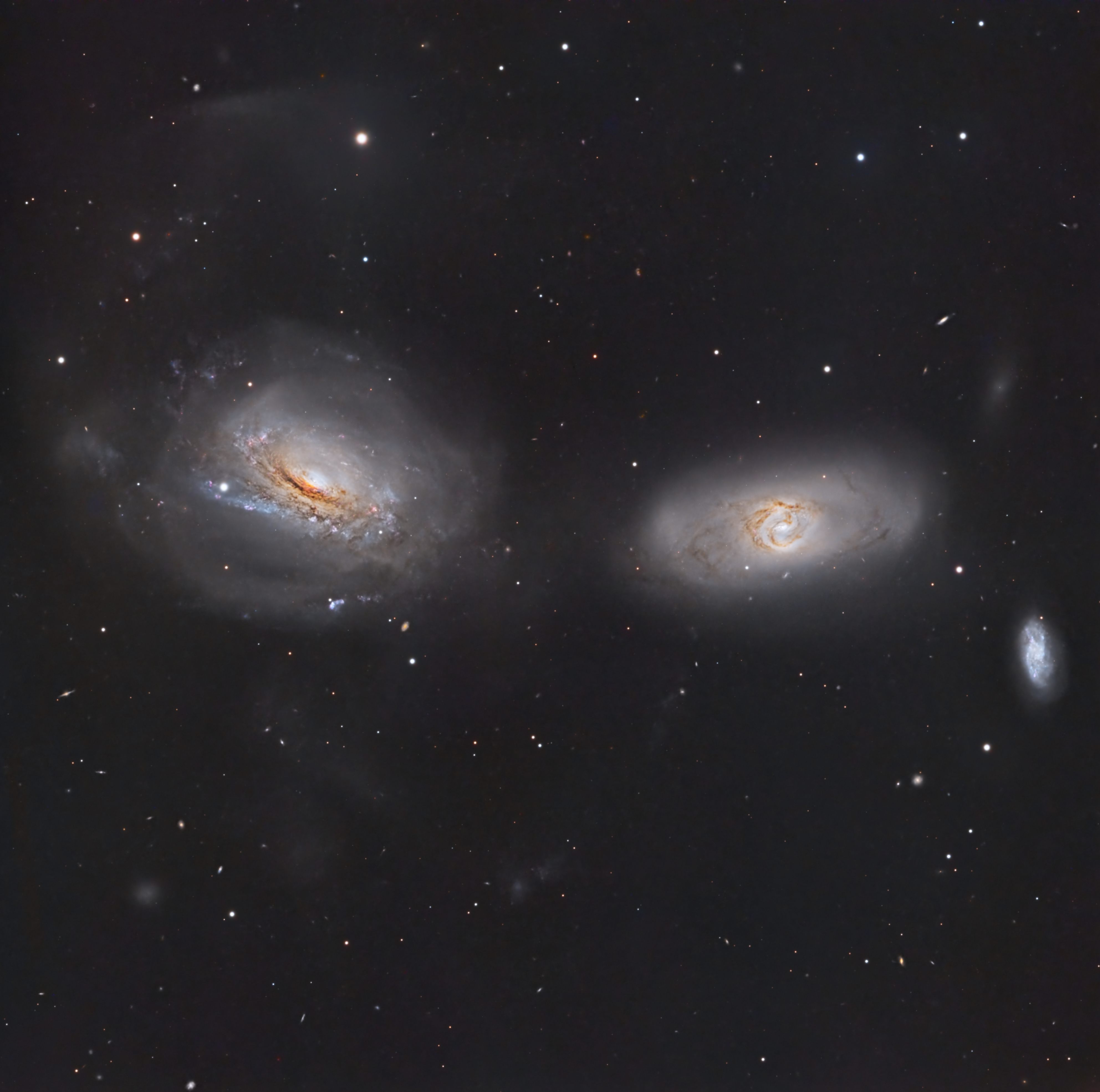 APOD: 2026 May 18 � Unraveling NGC 3169