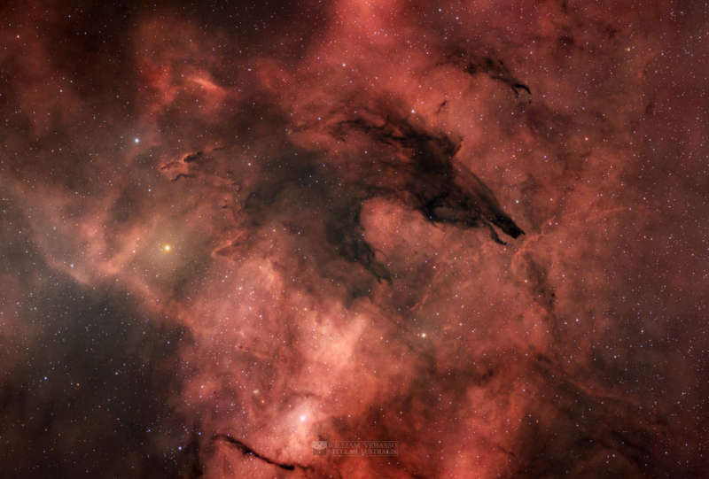 APOD: 2026 May 20 � The Dark Wolf Nebula