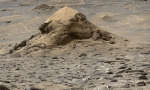 APOD: 2026 July 21 � Turtle Rock on Mars