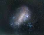 The Large Magellanic Cloud