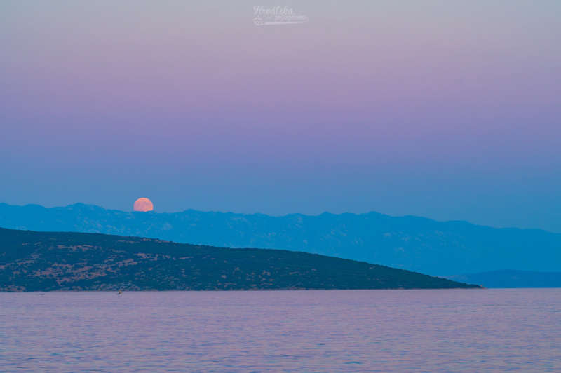 APOD: 2026 August 1 Á Buck Moon and Belt of Venus