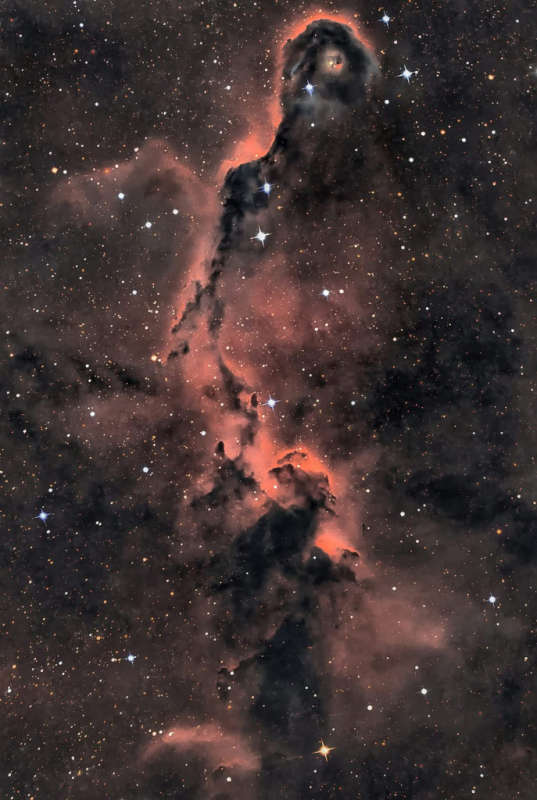 APOD: 2026 August 20 � The Elephant s Trunk in Cepheus