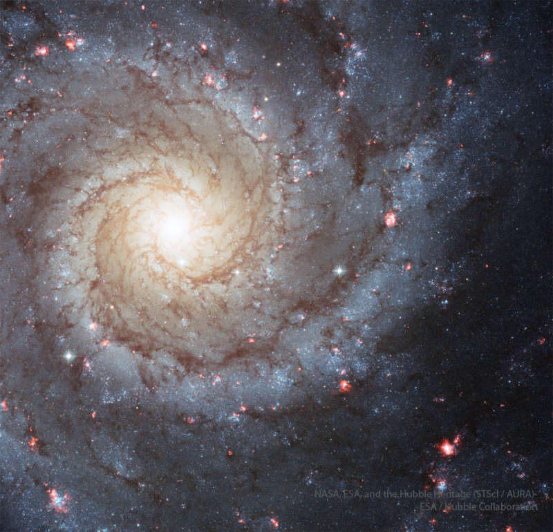 APOD: 2026 August 30 Б M74: A Grand Design Spiral