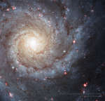 APOD: 2026 August 30 � M74: A Grand Design Spiral