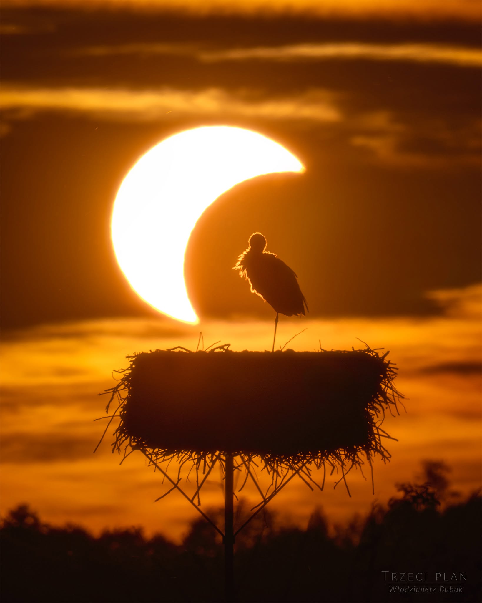 The Eclipse and the Stork
