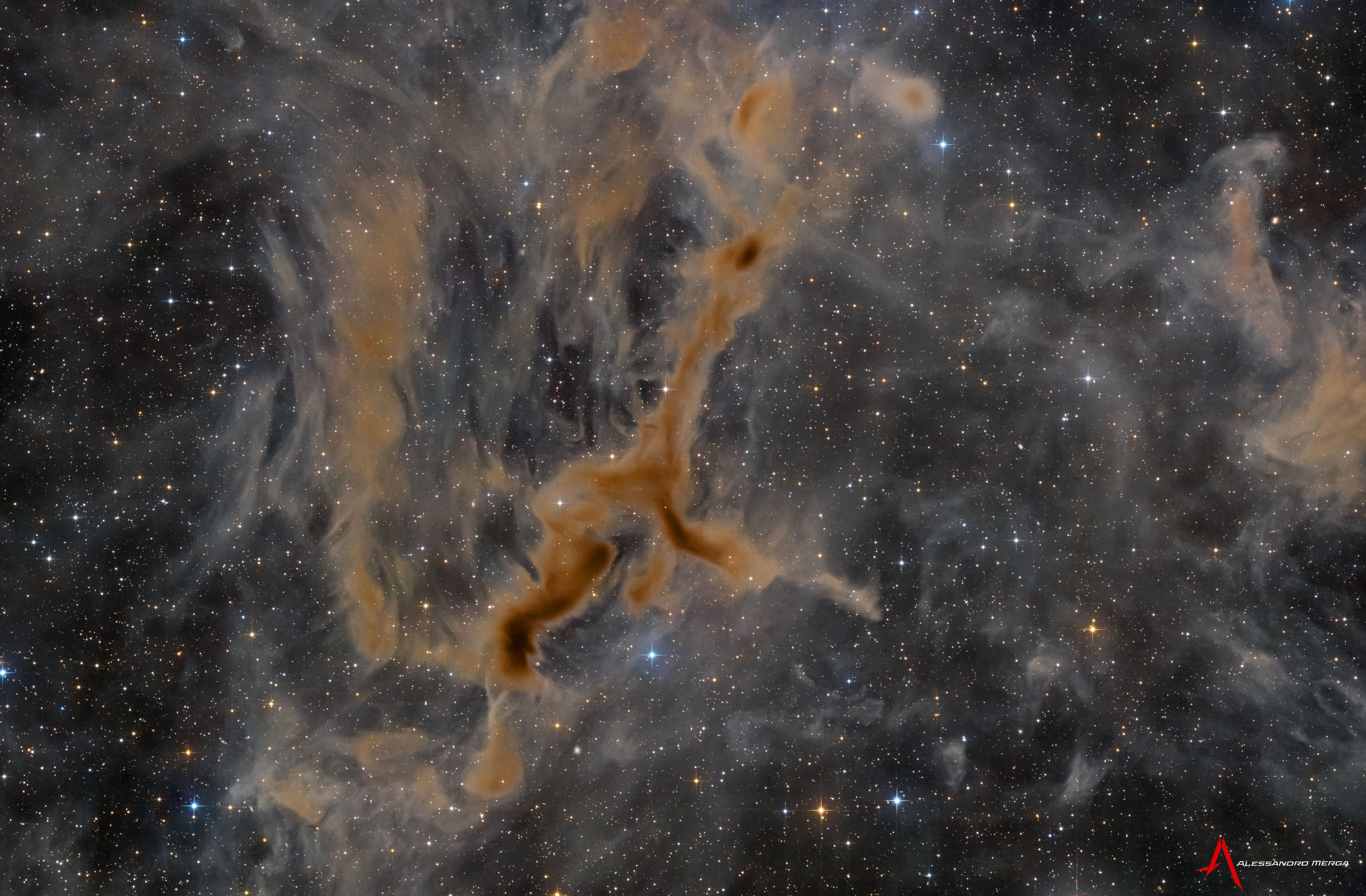 LDN 1295: The Giraffe Nebula