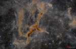 LDN 1295: The Giraffe Nebula