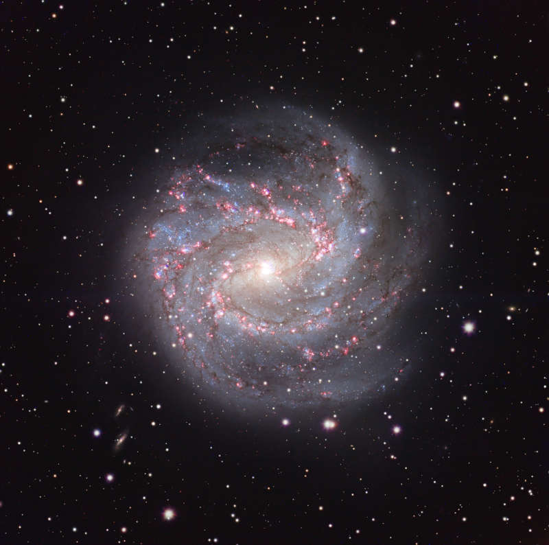 APOD: 2026 September 11 Á M83: The Southern Pinwheel