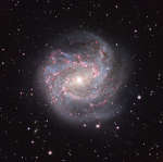 APOD: 2026 September 11 � M83: The Southern Pinwheel