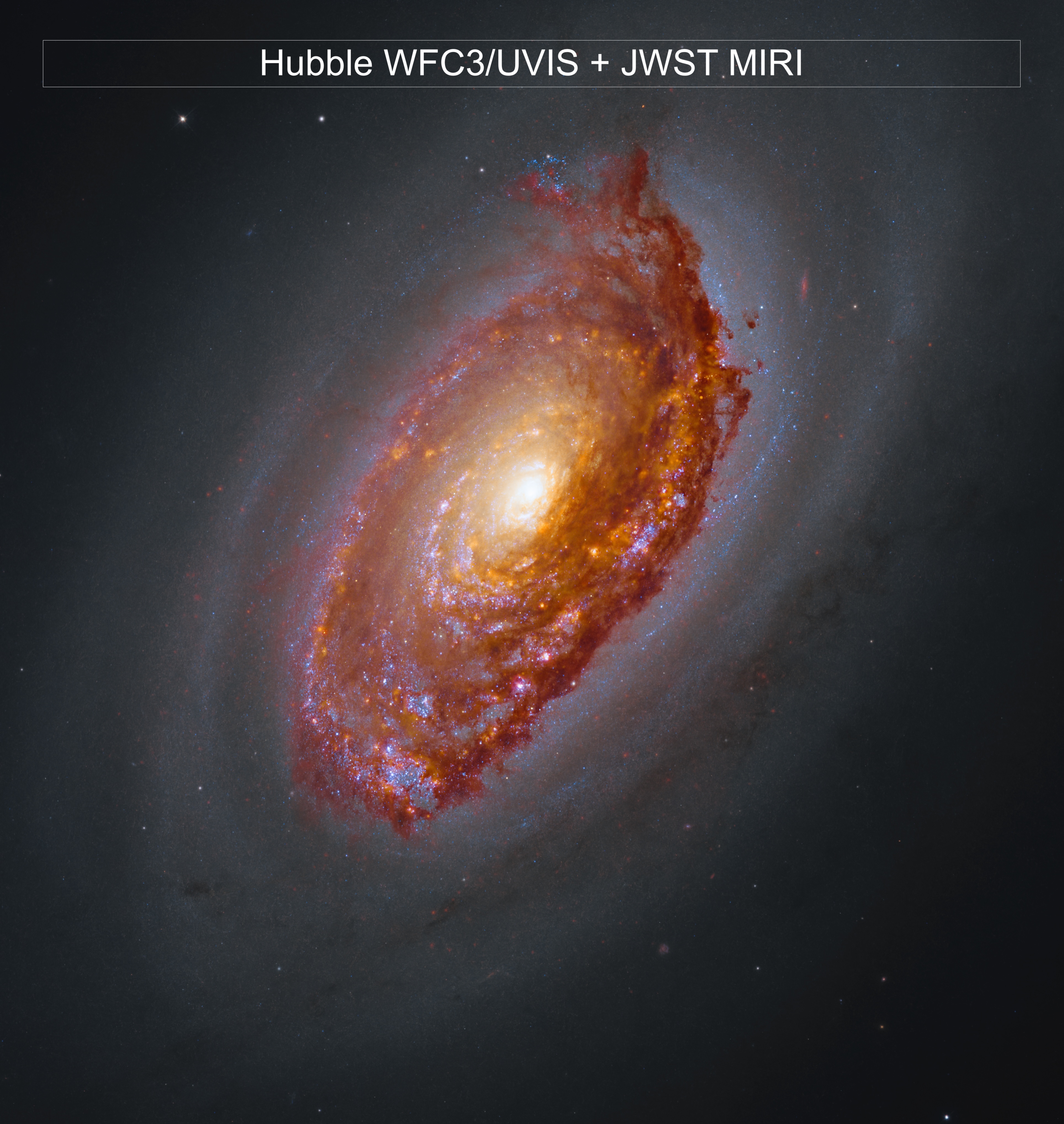 APOD: 2026 September 16 � Webb's View of M64