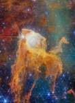 A Treasure Chest in the Carina Nebula