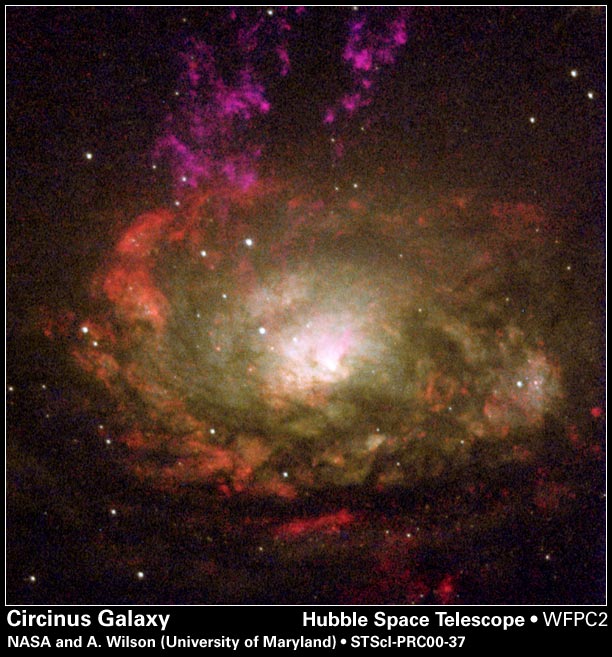 The Circinus Galaxy