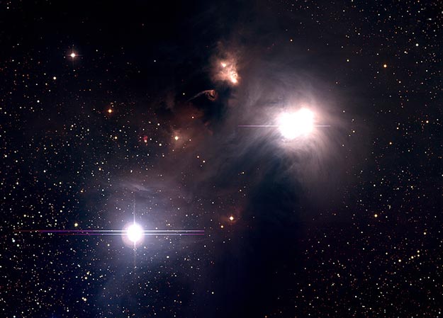 Dust and Gas Surrounding Star R Coronae Australis