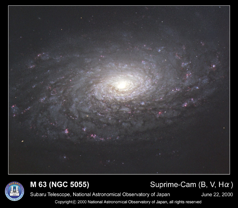 M63: Galaktika Podsolnuh