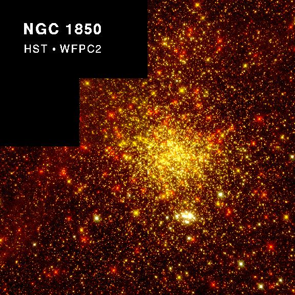 NGC1850:    LMC
