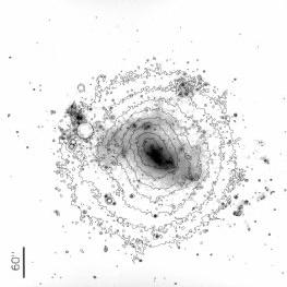 NGC4214:FUV+I