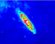 M31 in 100micron (IRAS)