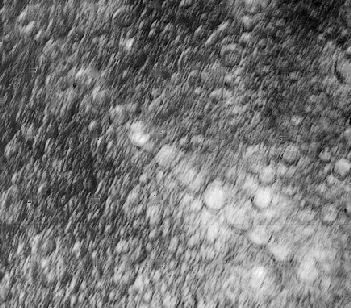 Cepnoi krater 