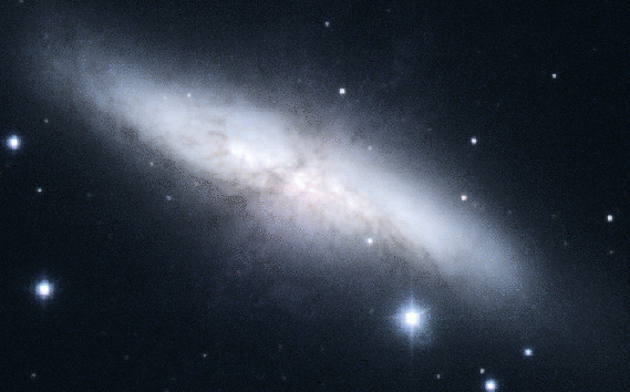 Рис. 2  М82 - галактика
    с мощным звездообразованием; Credit & Copyright: P. Challis
    (CfA), 1.2-m Telescope, Whipple Observatory