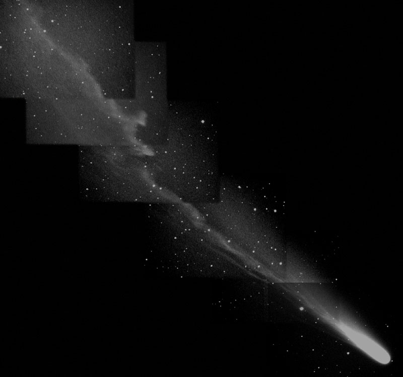 Comet Ikeya-Zhangs Busy Tail