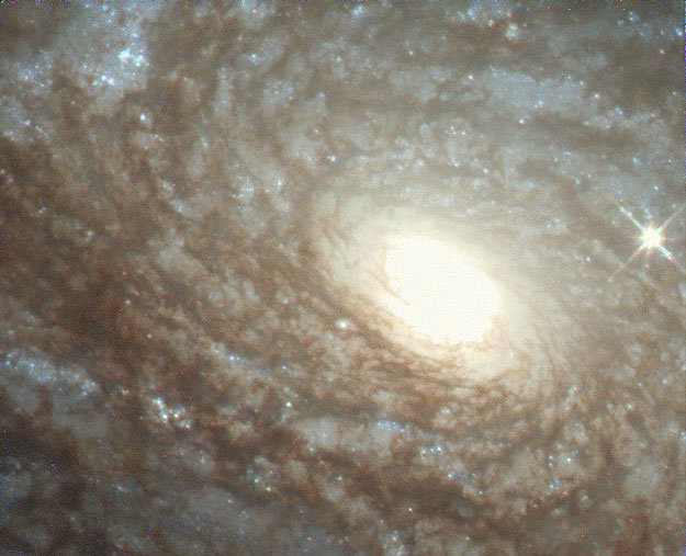 NGC 4414: flokkulentnaya spiral'naya galaktika
