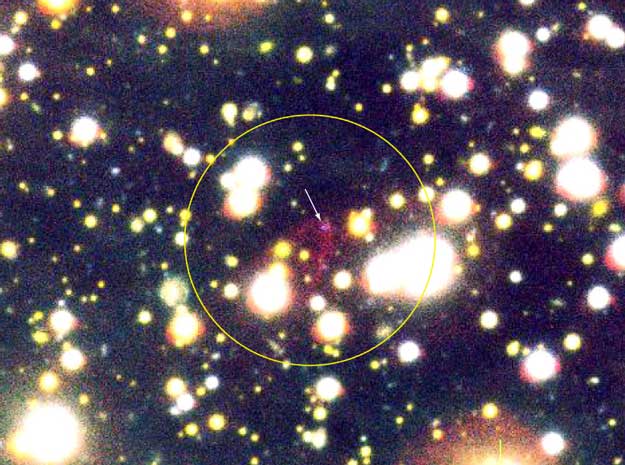 RXJ1856.5-3754: vozmozhno, zvezda iz kvarkov