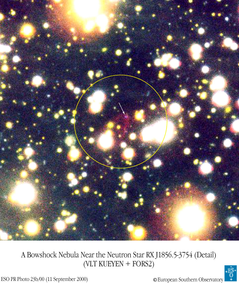 RXJ1856.5-3754: vozmozhno, zvezda iz kvarkov