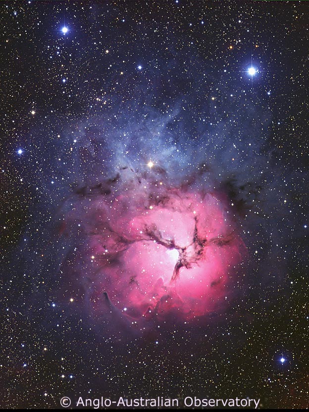 The Trifid Nebula from AAO