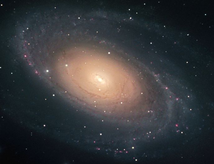 Yarkaya galaktika M81
