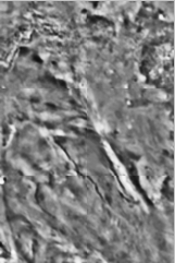 Gordii dorsum, Mars. (c) NASA