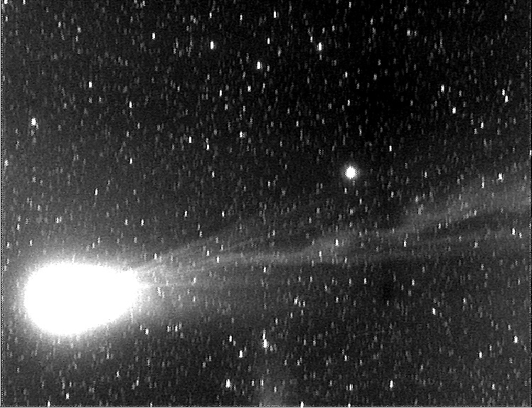 The Ion Tail of Comet Hyakutake