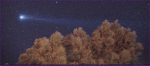 Комета Хиякутаке и дерево