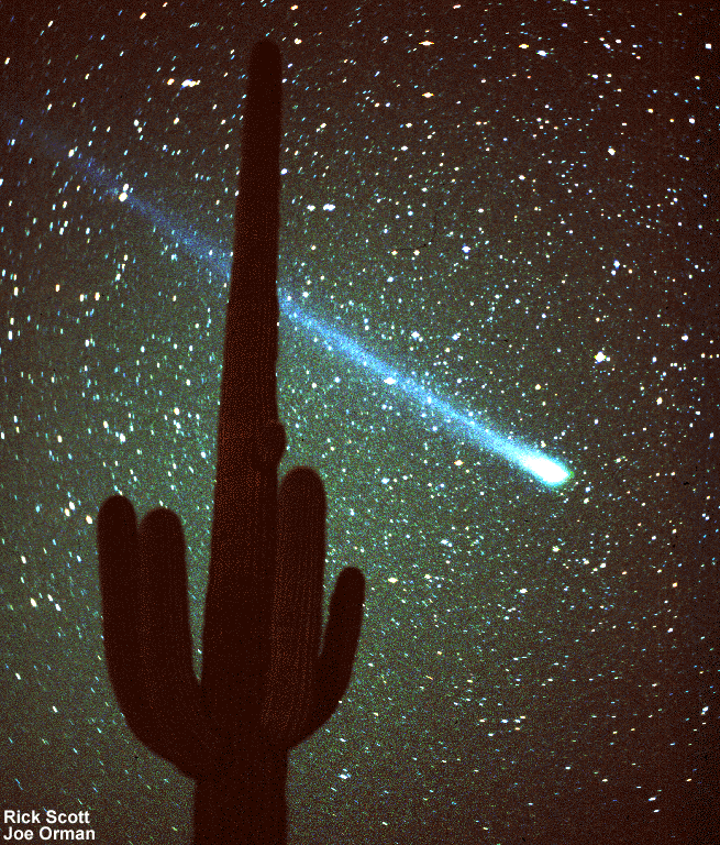 Kometa Hiyakutake i kaktus