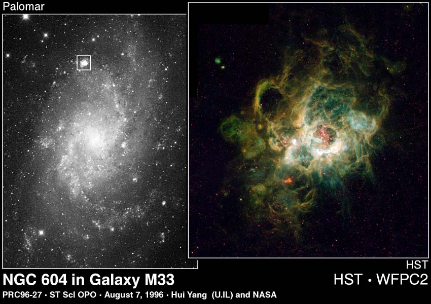 NGC 604: Giant Stellar Nursery in M33