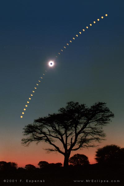 Eclipse Over Acacia