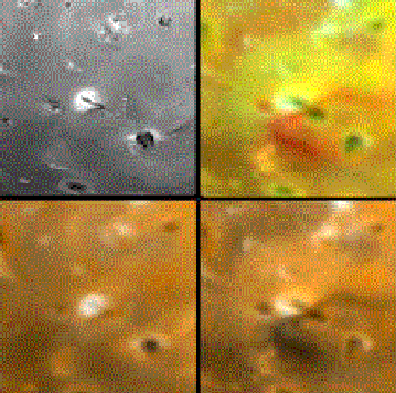 Vulkan Euboea Fluktus na Io