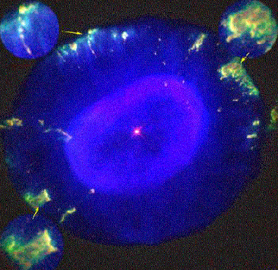 Fliers Around the Blue Snowball Nebula