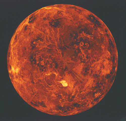 The North Pole of Venus