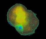 Рентгеновские лучи от IC 443