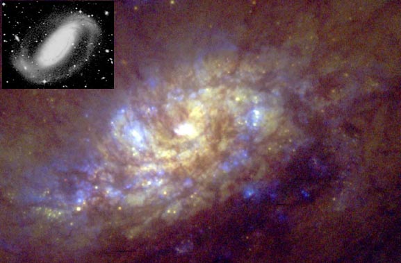Starbirth in NGC 1808