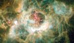 NGC 604: гигантский звездный инкубатор